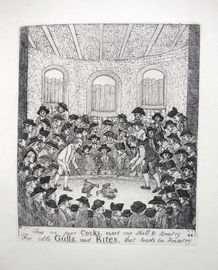 Cock-Fighting Match, Between the Counties of Lanark and Haddington   John Kay etching 18c